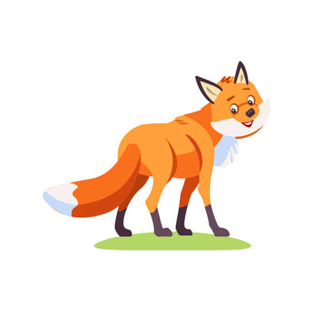 Fox cartoon. Cute Fox turns to the viewer and looks friendly. Vector illustration isolated on white backgroundのイラスト素材