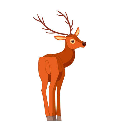 Rear view of the deer. Ungulate ruminant mammals. Cartoon animal design. Cute deer with horns. Flat vector illustration isolated on a white backgroundのイラスト素材