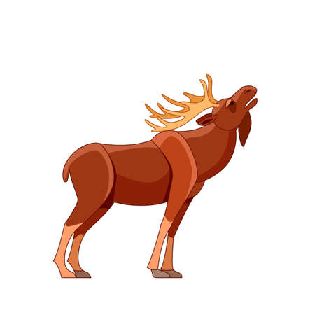 Bull elk bugling during fall mating season. Wildlife scene with moose. Cartoon character vector flat illustration isolated on white backgroundのイラスト素材