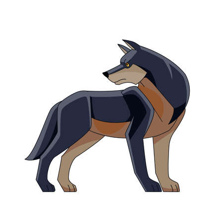Scary dark Wolf or Timber wolf standing and looking back. Wildlife scene. Cartoon character of a dangerous mammal animal. Vector flat style illustration isolated on a white backgroundのイラスト素材