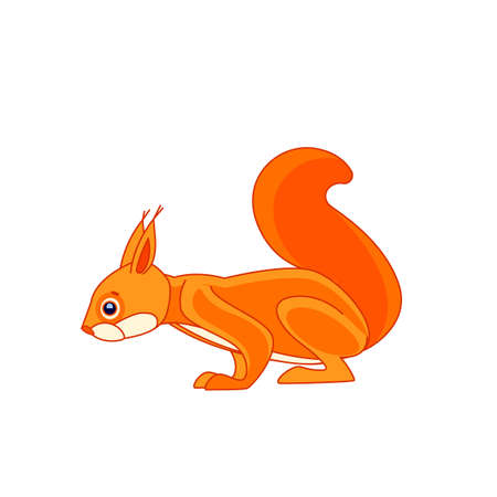 Squirrel watches curiously from above. Cartoon character of an rodent mammal animal. A wild forest creature with orange fur. Side view. Vector flat illustration isolated on a white backgroundのイラスト素材