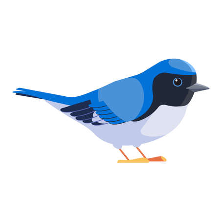 Blue warbler is a small passerine bird of the New World warbler family. Black-throated blue warbler Bird Cartoon flat style beautiful character of ornithology, vector illustration isolated on whiteのイラスト素材