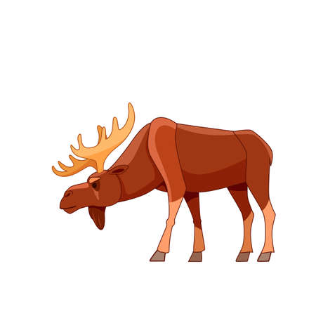 Bull moose watches warily. Wildlife scene with elk. Cartoon character vector flat illustration isolated on white backgroundのイラスト素材