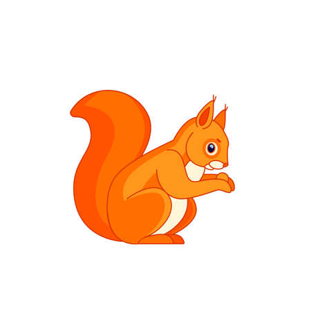 Squirrel, sitting side ways, holding a hazel nut in front paws and eating from it. Tail up. Cartoon character of a rodent mammal animal. Vector flat illustration isolated on a white backgroundのイラスト素材