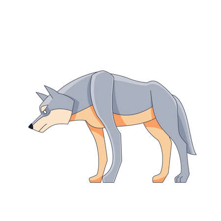 A large wolf watches for potential prey. Cartoon character of a dangerous mammal animal. A wild forest creature with gray fur. Side view. Vector flat illustration isolated on a white backgroundのイラスト素材