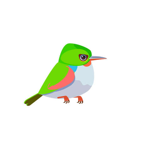 Cuban tody or jamaican tody. Exotic small tropical bird isolated on white cartoon vector illustration ornithology todus todi fauna cute green colorful wildlifeのイラスト素材