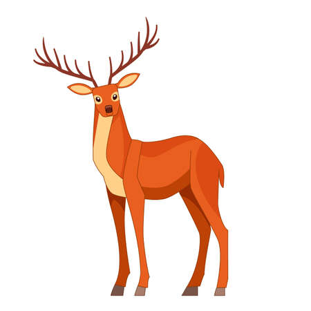 Forest graceful deer with antlers in standing pose. Wildlife of forest mammals concept. Cartoon vector Illustration flat style isolated white backgroundのイラスト素材