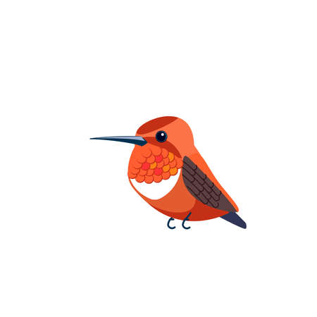 Rufous Hummingbird is one of seven species in the genus Selasphorus. Orange small bird Cartoon flat style beautiful character of ornithology, vector illustration isolated on whiteのイラスト素材