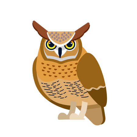 Owl is a bird of prey, mainly nocturnal birds. Eagle horned owl Cartoon flat style beautiful character of ornithology, vector illustration isolated on white backgroundのイラスト素材