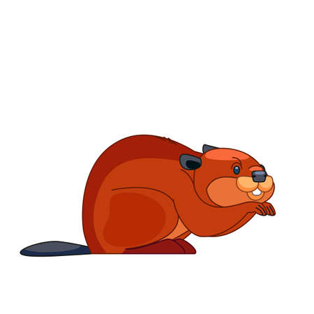 Beaver eating plant. Cartoon vector flat illustration isolated on white backgroundのイラスト素材