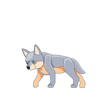 Young wolf cub is looking for prey. Cartoon character of a dangerous mammal animal. A wild forest creature with gray fur. Side view. Vector flat illustration isolated on a white backgroundのイラスト素材