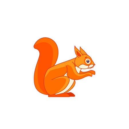 Red squirrel feeding. Tail up. Cartoon character of a rodent mammal animal. A wild forest creature with orange fur. Side view. Vector flat illustration isolated on a white backgroundのイラスト素材