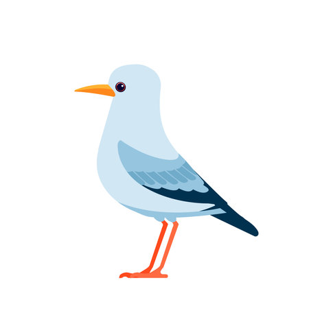 Gull or seagulls are seabirds of the family Laridae. Seabirds Cartoon flat vector illustration isolated on white backgroundのイラスト素材