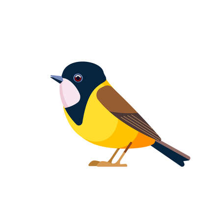Golden whistler or Australian golden whistler, is a species of bird found in a forest, woodland, mallee, mangrove in Australia. Cartoon, flat character of ornithology, vector illustration isolatedのイラスト素材