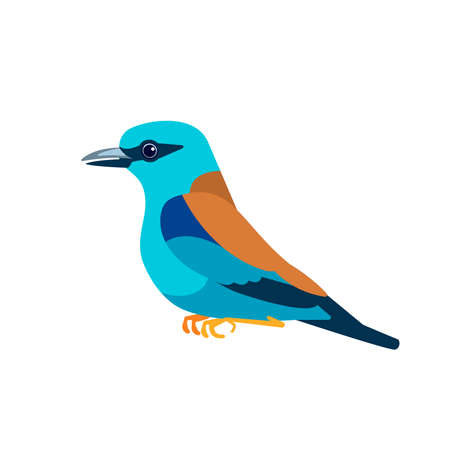 European roller Bird Cartoon flat style character of ornithology, vector illustration isolated on whiteのイラスト素材