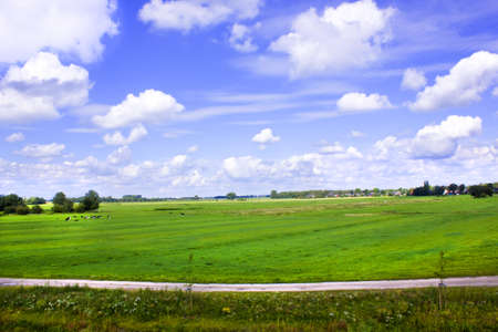meadow and a beautiful blue sky
