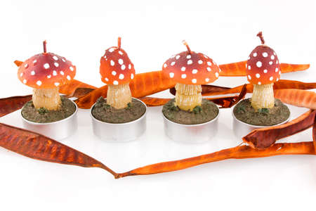 four candles in mushroom shape on white backgroundの写真素材