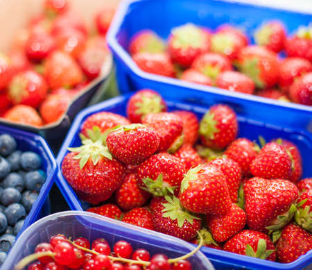 Fresh strawberries, currants and blueberries in bowlsの写真素材