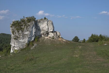 on the Jurassic trailの写真素材