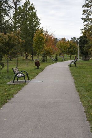 walk in the parkの写真素材