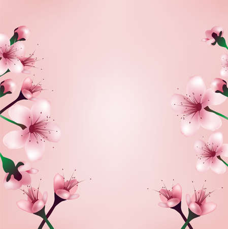 cherry blossoms backgroundのイラスト素材