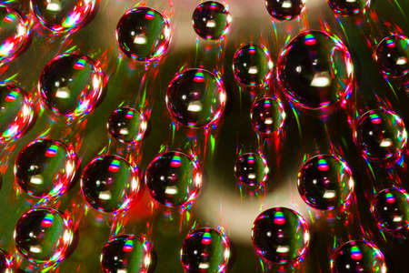Green abstract water drops are on green background.