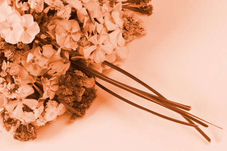 Sepia photo about a beautiful retro bouquet.の写真素材