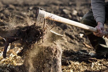 The lumberjack is cutting wood with axe.