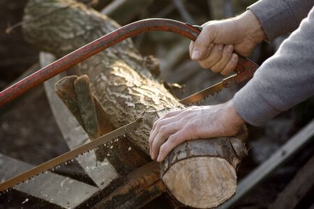 The lumberjack is cutting wood with saw.