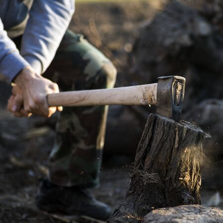 The lumberjack worker is cutting firewood with axe.の写真素材