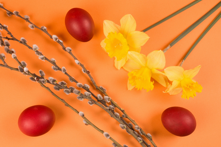 Red Easter eggs with daffodils and branches are on orange background, Easter scene or Easter still life.の写真素材
