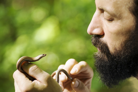 The bearded biologist is holding a little snake in hands on green background.の写真素材
