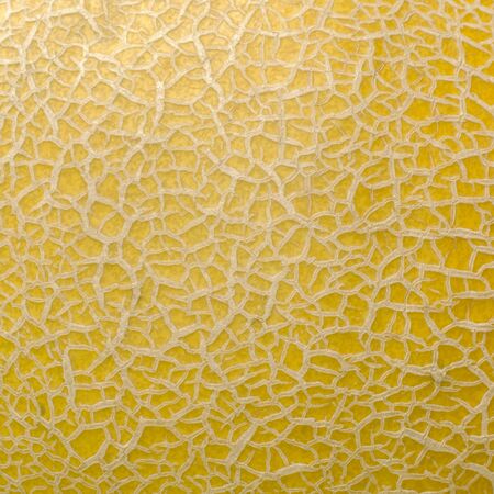 Macro photo of texture of yellow melon fruit, abstract pattern.の写真素材