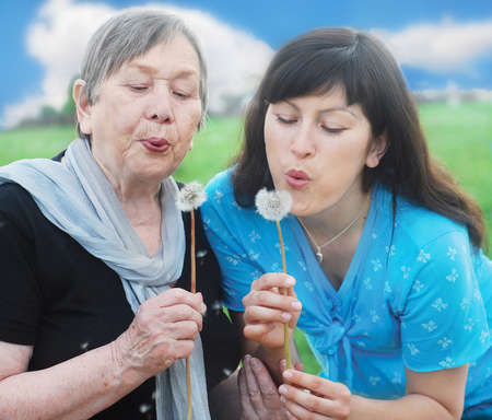 grandmother and grand daughter with dandelions on the meadowの写真素材