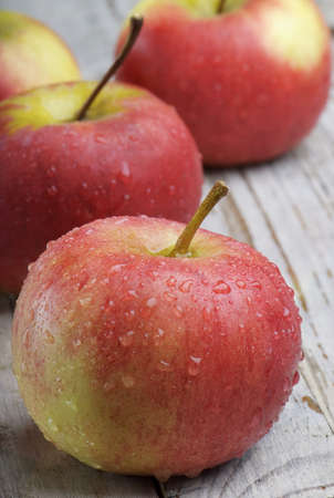 Red applesの写真素材