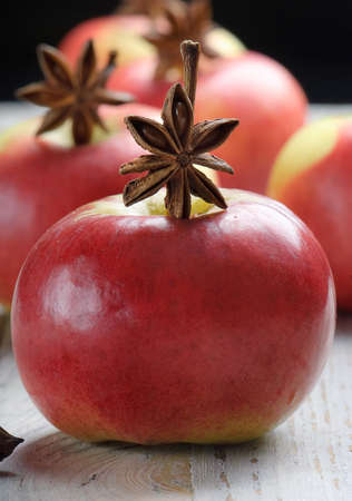 Red apples and spicesの写真素材