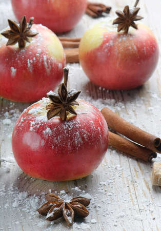 Red apples and spicesの写真素材