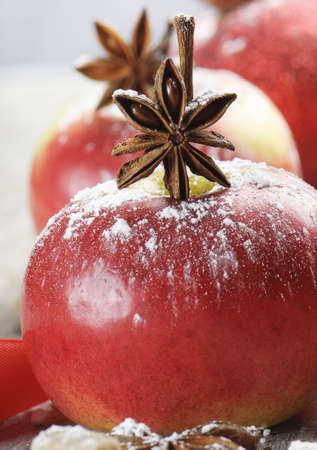 Red apples and spicesの写真素材