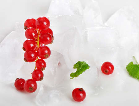 Red currantの写真素材