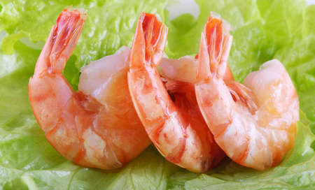 Green salad with shrimpsの写真素材