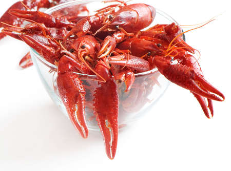 boiled crawfish on white backgroundの写真素材
