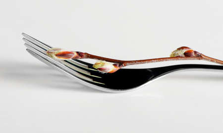 Fork 