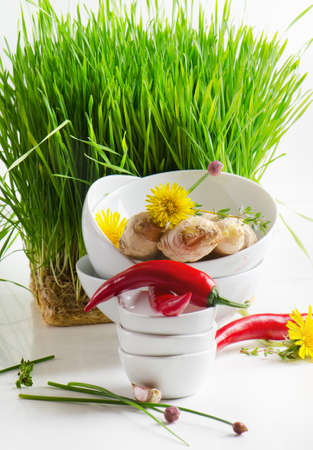 Healthy food - ginger and herbsの写真素材