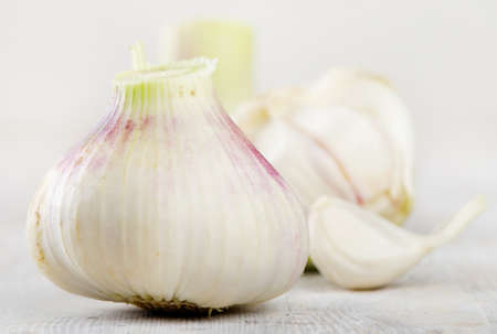 Garlic and spicesの写真素材