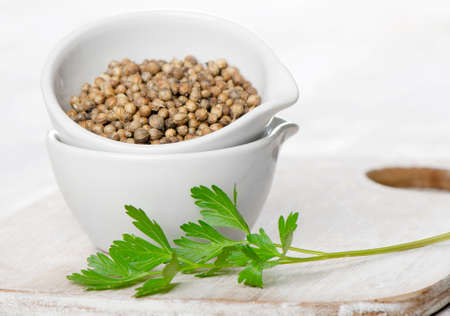 coriander seeds and leavesの写真素材