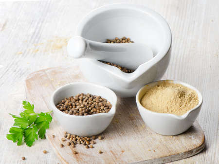 coriander seeds and leavesの写真素材