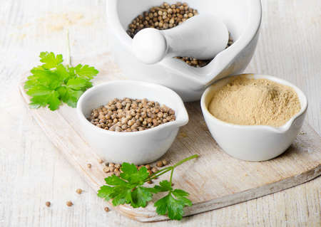 coriander seeds and leavesの写真素材