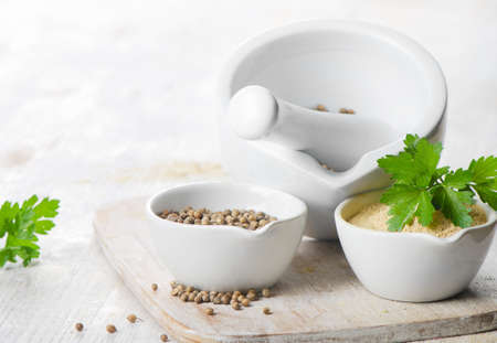 coriander seeds and leavesの写真素材