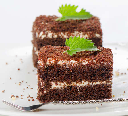 Two chocolate cakes on a white plateの写真素材