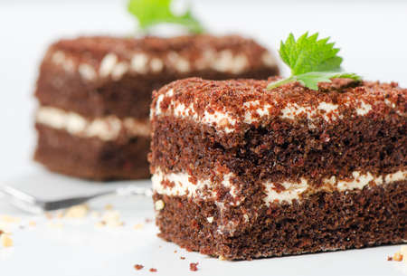 Two chocolate cakes on a white plate